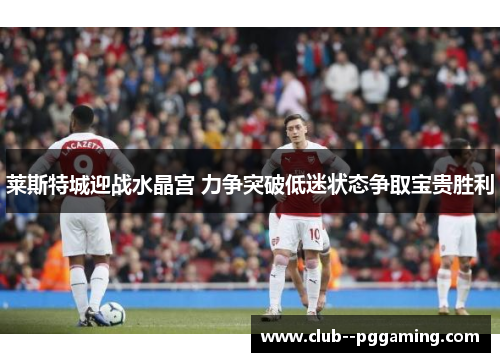 莱斯特城迎战水晶宫 力争突破低迷状态争取宝贵胜利