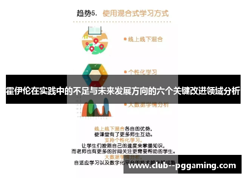 霍伊伦在实践中的不足与未来发展方向的六个关键改进领域分析