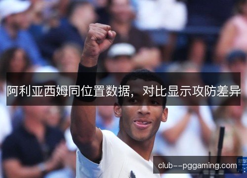 阿利亚西姆同位置数据，对比显示攻防差异